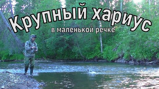 Download Video: КРУПНЫЙ ХАРИУС НА ТАЁЖНОЙ РЕЧКЕ.РЫБАЛКА НА СПИННИНГ В ТАЙГЕ.