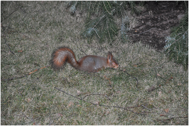 Фотография автора статьи