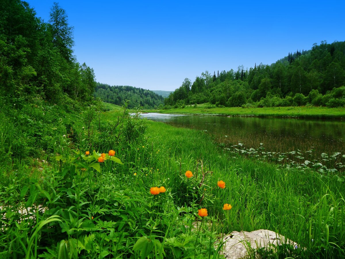 Источник фото: pixabay.com