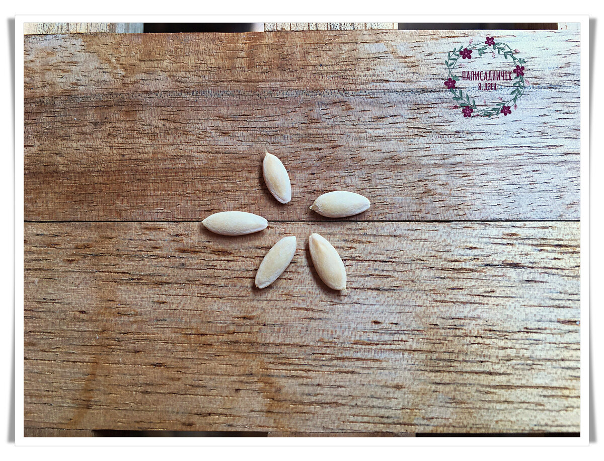 Такие вот милаши :)