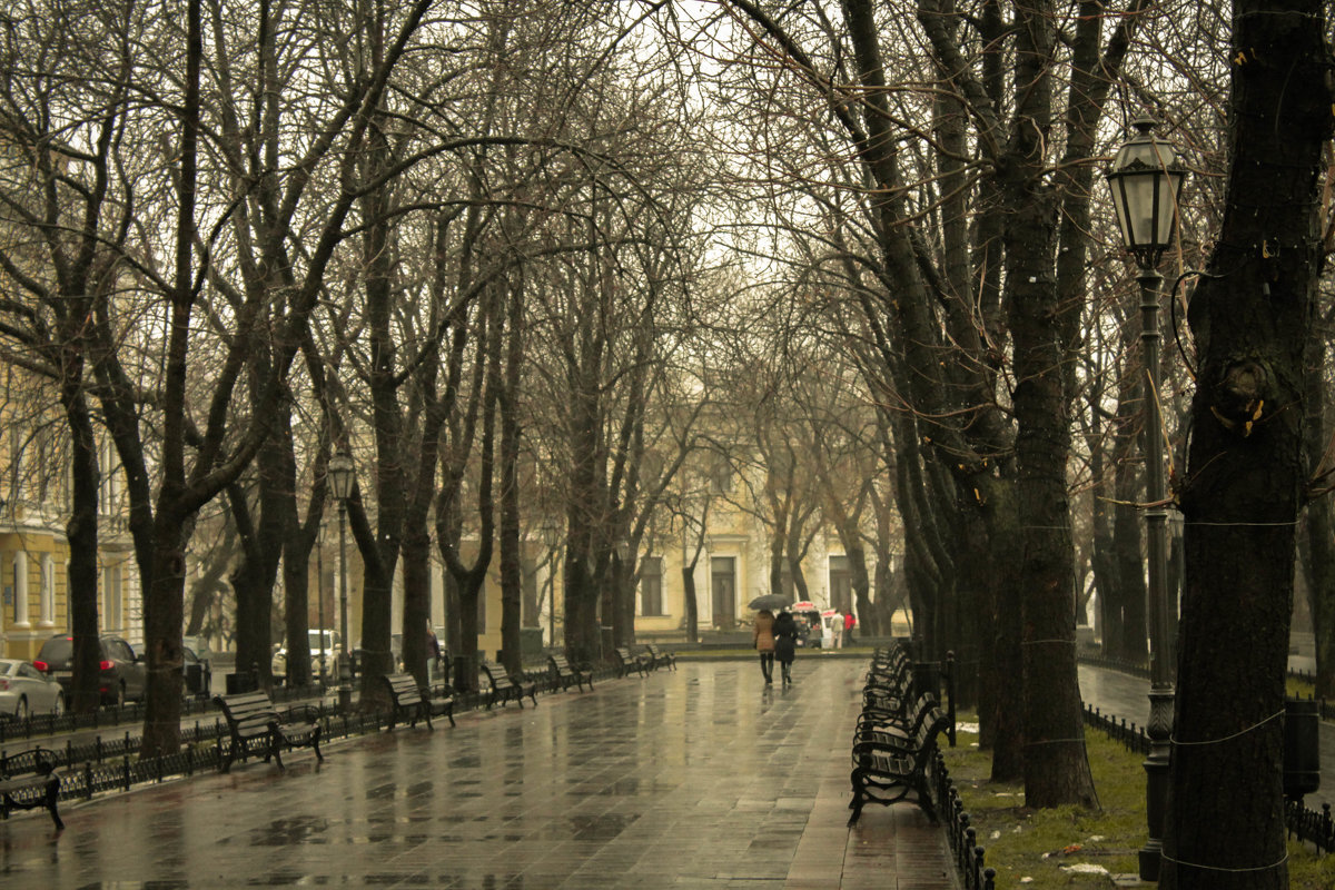 Весна в городе