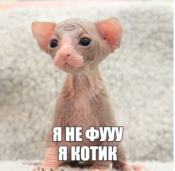 картинка - из интернета.