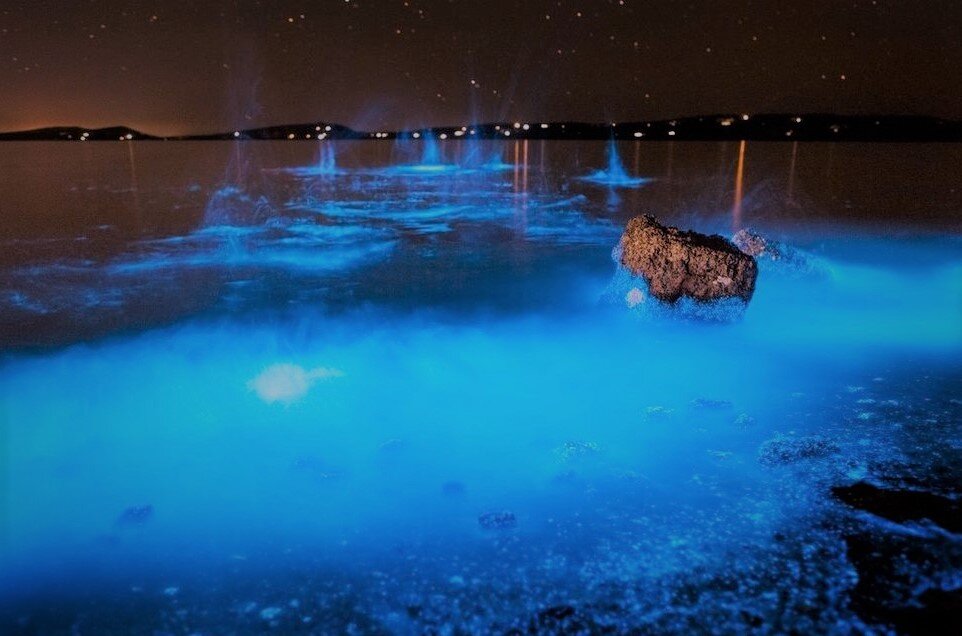 Светящееся море на Мальдивах