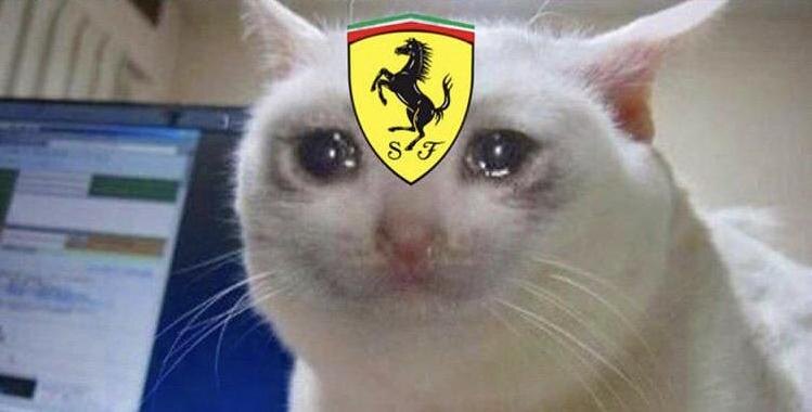 Этот кот как презентация моего состояния, когда у пилотов Ferrari что-то не заладилось в который раз 