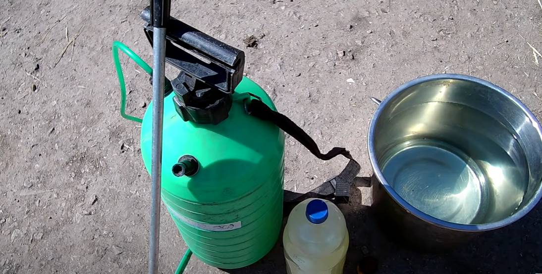 БОРЬБА С ФИТОФТОРОЙ