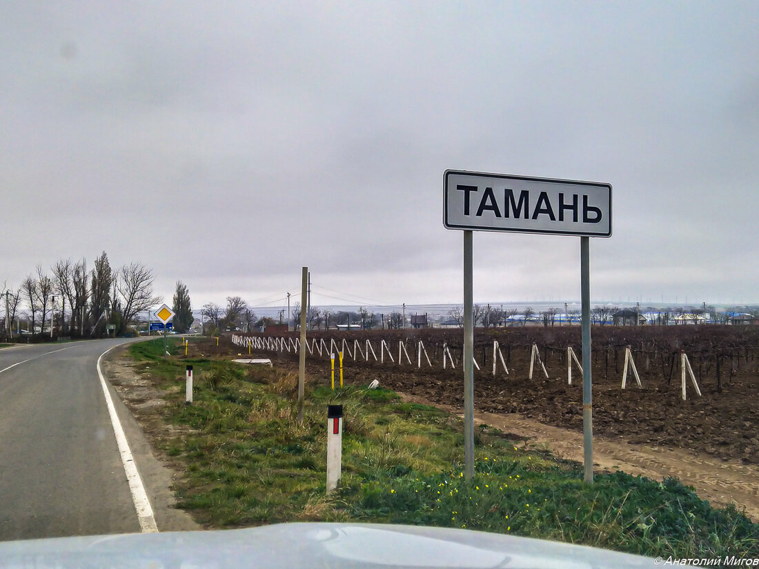 сколько идет письмо из польши в германию