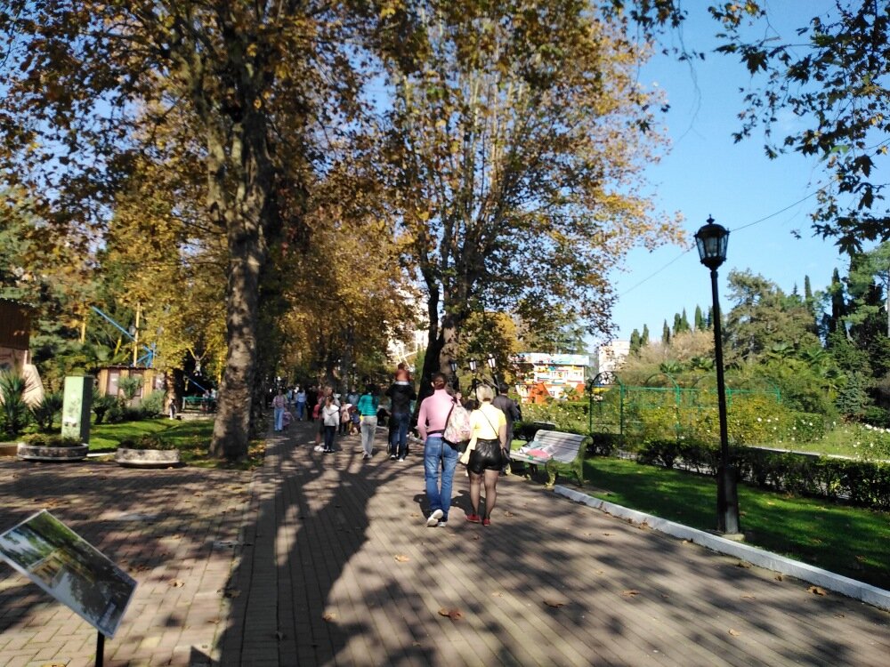 В парке "Ривьера" осенью. Фото автора