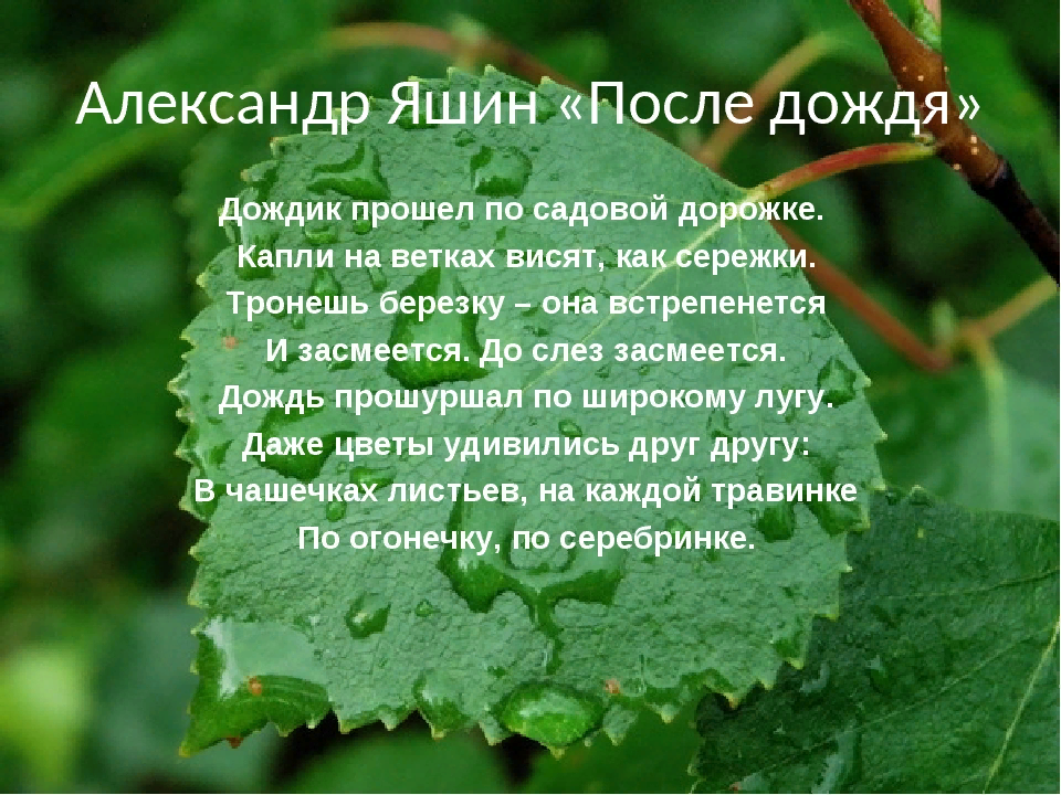 Стихотворение после дождя. Стихи на тему после дождя. Рассказ о Дожде. Стихотворение про дождь. Сочинение дождливый летний день именно в такой