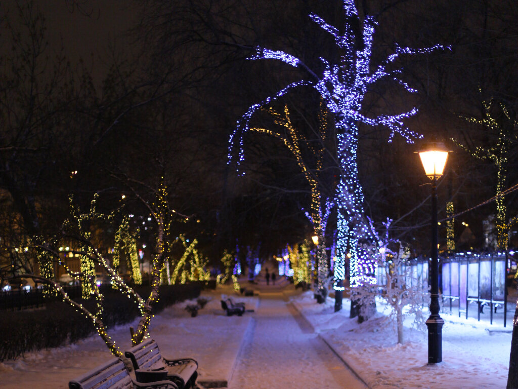 В этом месяце жителей столицы ожидает несколько важных астрономических событий. Фото: Pxfuel.com 