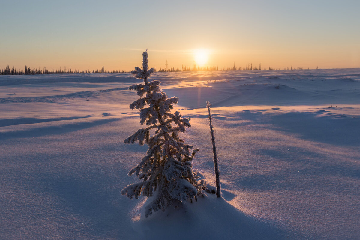 Полярный круг усинск-харьяга. Монумент полярный круг салехард. Арктика северное сияние. Салехард памятник полярному кругу. Салехард северный полярный круг.