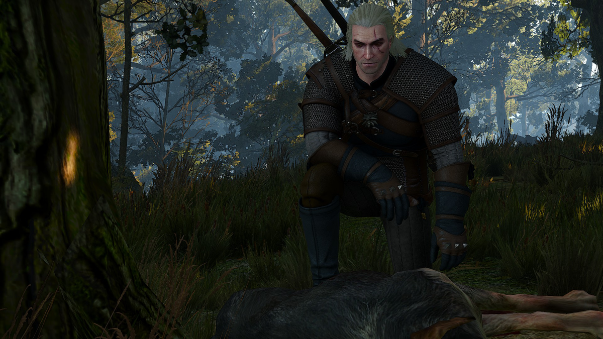 The Witcher 3 и его трудности выбора. | GEEK WORLD | Дзен