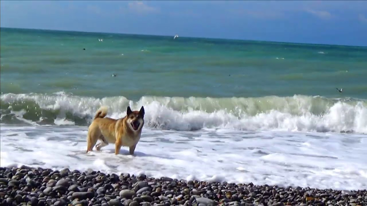 фото из интернет-источника 