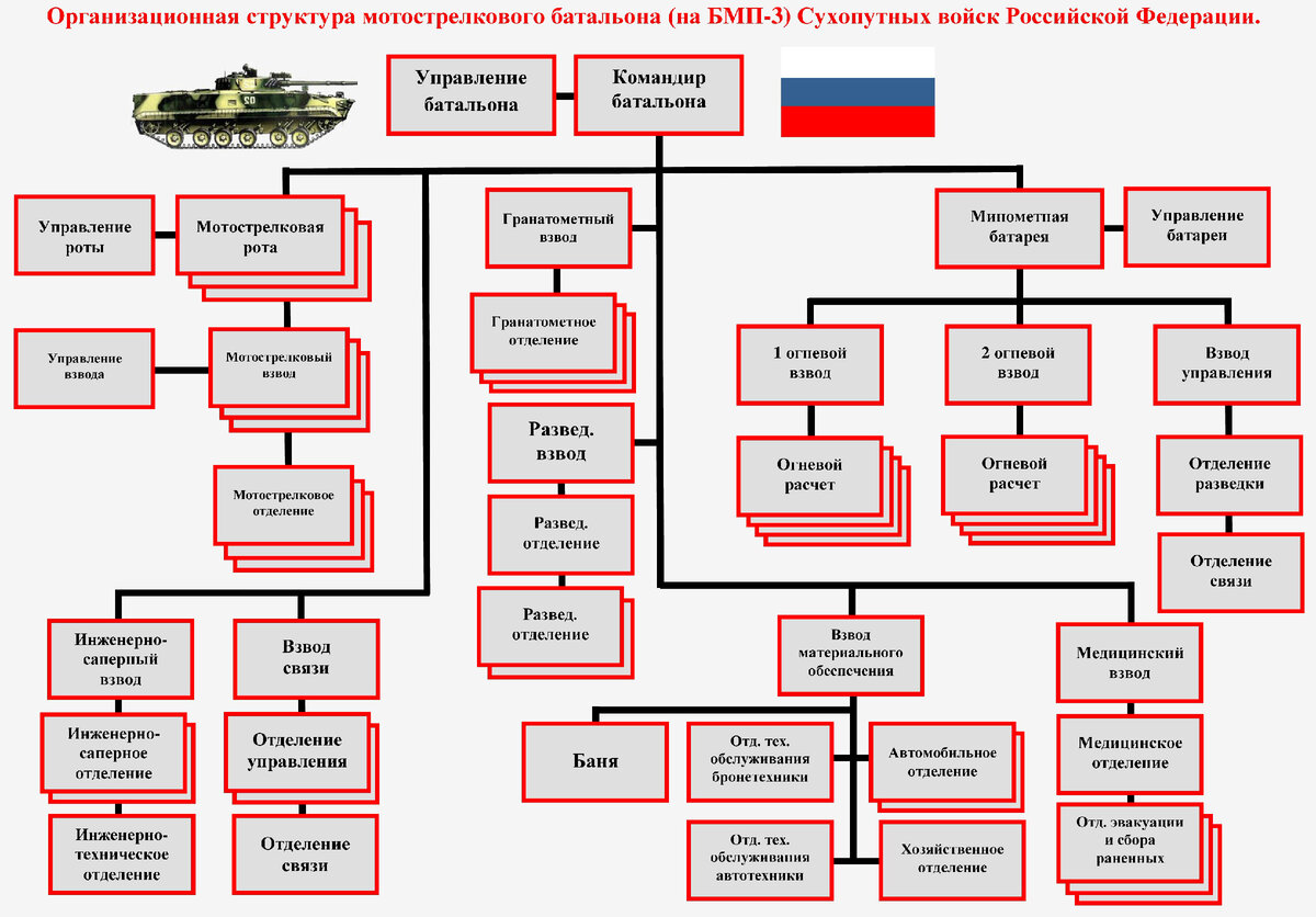 Организационная структура мотострелкового батальона РФ