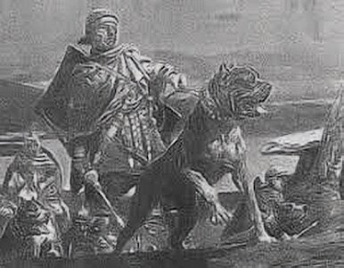 Разведчик римской империи с Молоссом