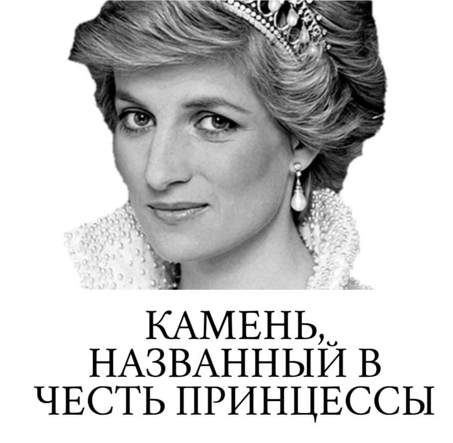 принцесса швеции мадлен в тиарах. дневники принцессы 2 как стать королевой. кейт и уильям годовщина свадьбы 2021. принцесса достойна смерти диана соул книга. принцесса достойна смерти аудиокнига.