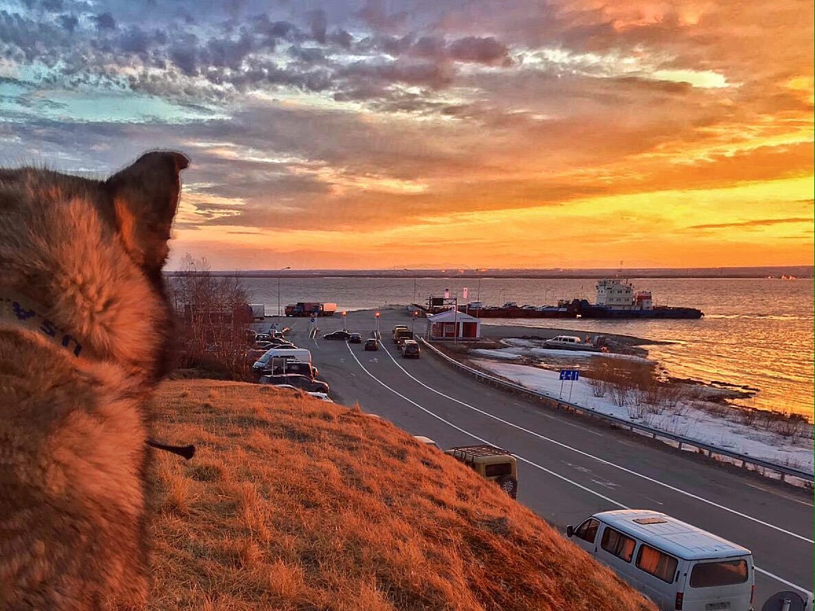 ПАРОМНАЯ ПЕРЕПРАВА САЛЕХАРД - ЛАБЫТНАНГИ. ЗИМОЙ РЕКА ЗАСТЫВАЕТ И МЫ ЕЗДИМ ПО ЗИМНИКУ (ЛЕДОВОЙ ДОРОГЕ).