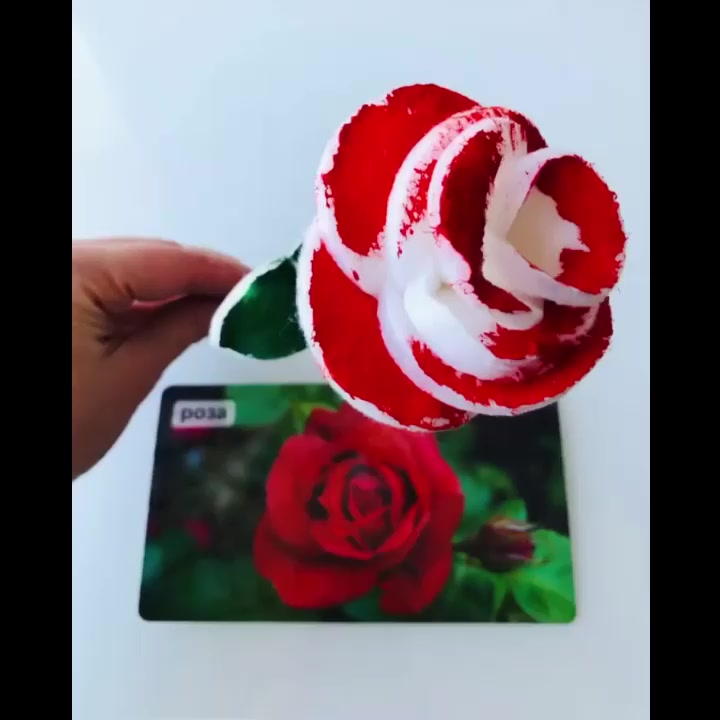 Роза из ватных дисков