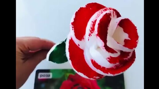Розы из ватных дисков своими руками просто - YouTube | Цветы из помпонов, Ватные диски, Ремесла