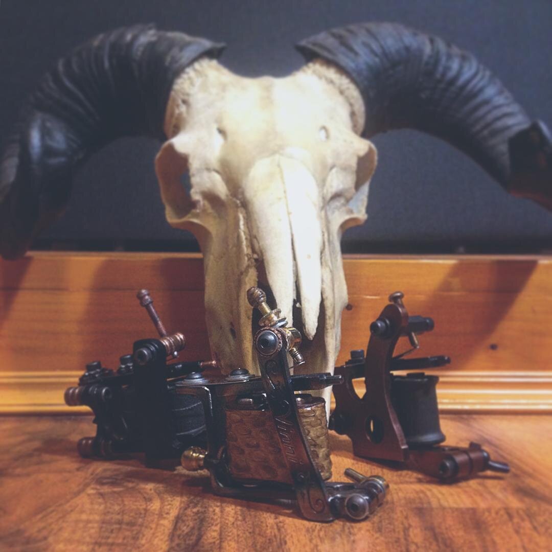 Вот они, мои первые индюшата)