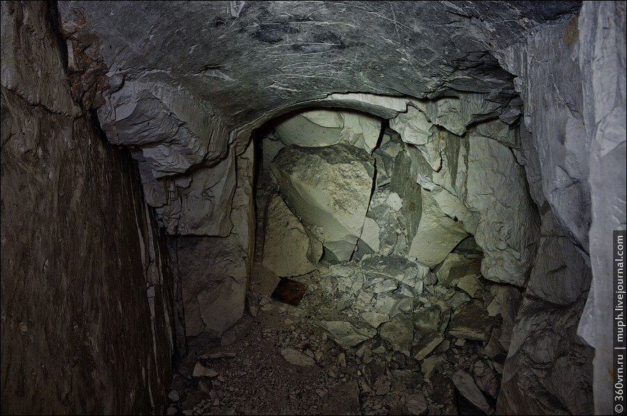 фото из интернета