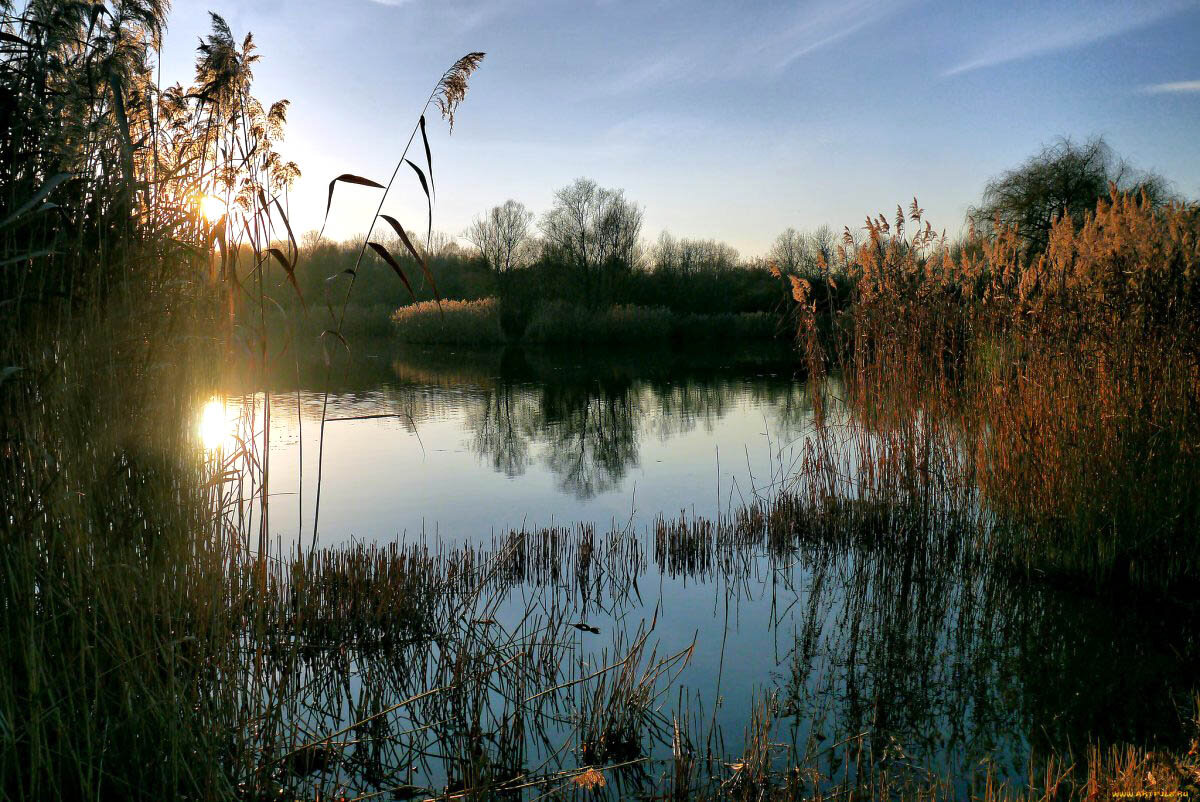 Вечерняя рыбалка