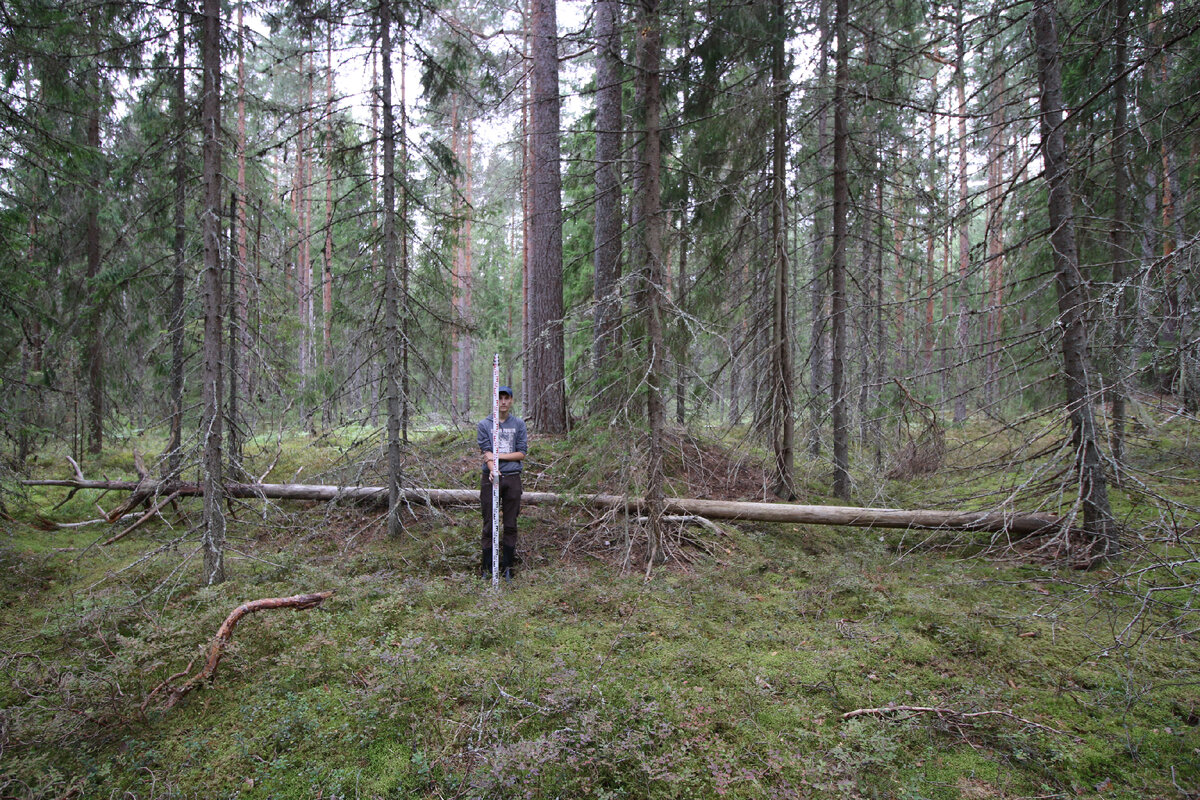 Парни и курганы