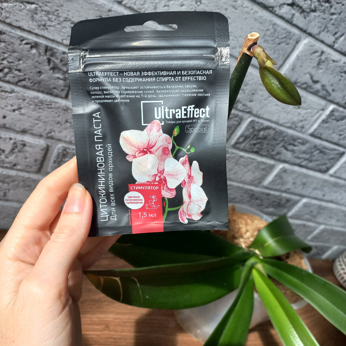 С помощью гормональной цитокининовой пасты 