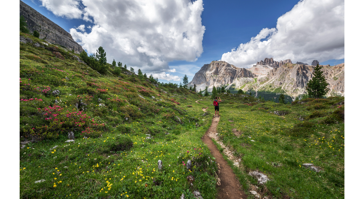 Мы можем пройти отведенный нам путь или стоять на обочине в ожидании "благоприятного" момента