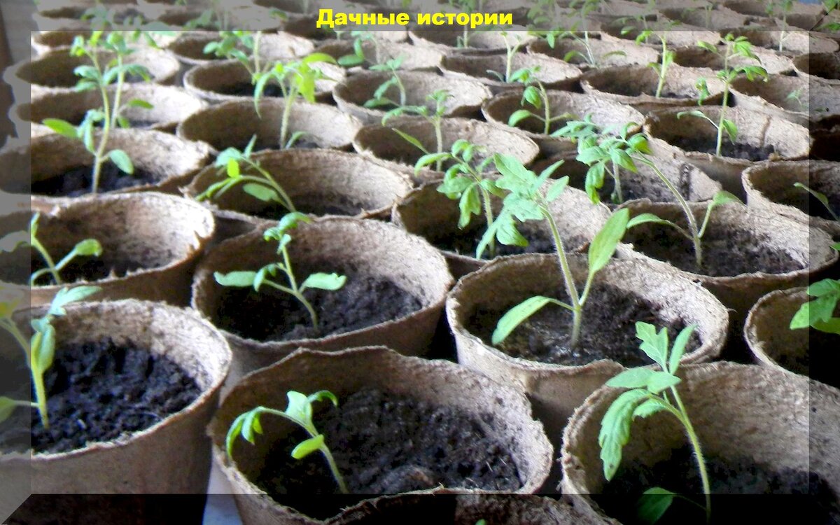 https://vk.com/photo-159774511_457252177