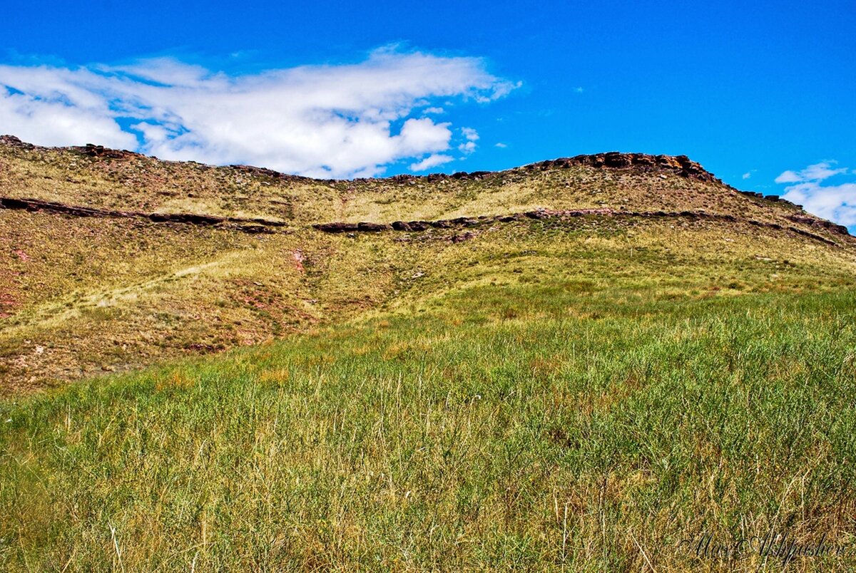 На склоне горы. 2011 г.