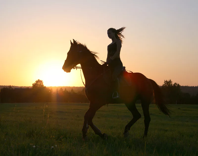 Над верхом. Девушка на лошади без лица. Девушка и лошадь в поле. Девушка на лошади со спины. Девушка на лошади на закате.