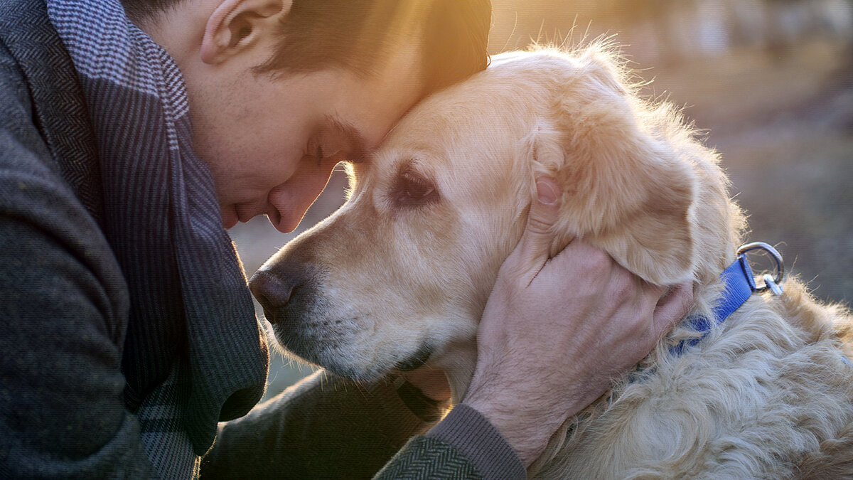 источник фото: duck.show