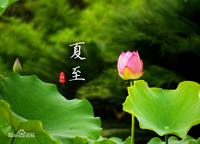 夏至 xiàzhì - летнее солнцестояние. Источник: baike.baidu.com