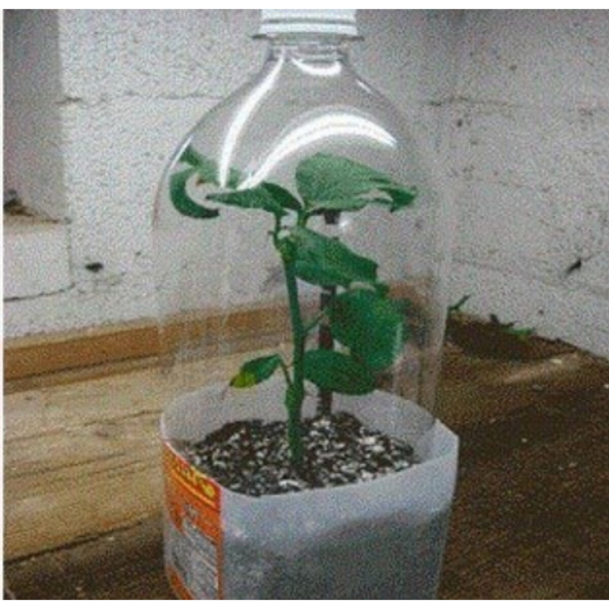 Вот такая красота 