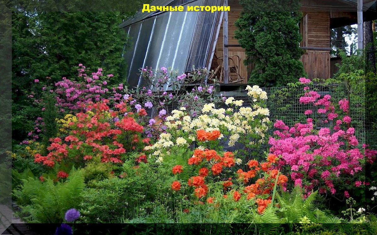 https://vk.com/photo-159774511_457254307