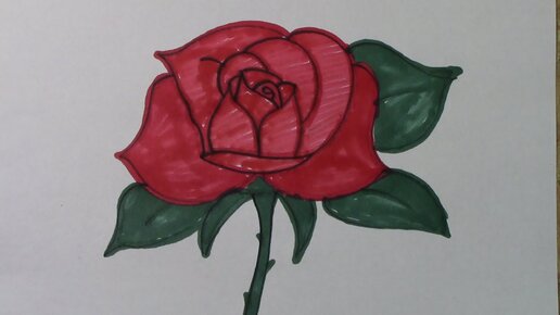 Как нарисовать розу поэтапно 14 уроков