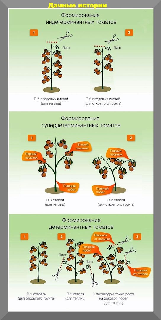 https://vk.com/photo-159774511_457253487