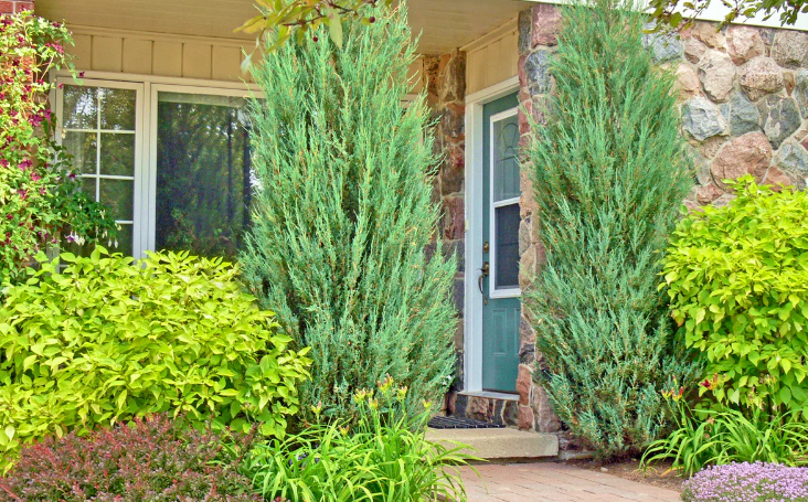 Добавьте описание