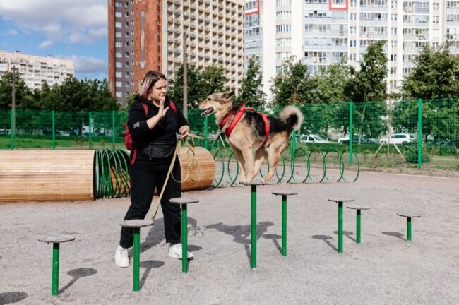 фото из официального сообщества «Комитет по благоустройству Санкт-Петербурга» (ВКонтакте)