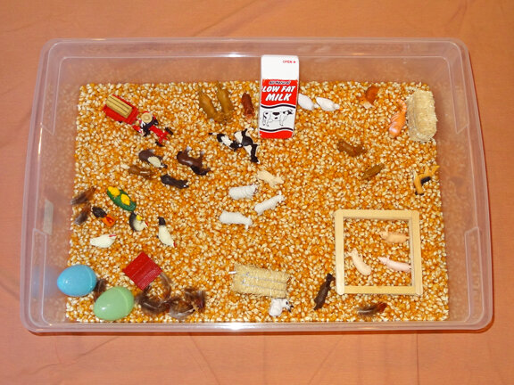 Фото с https://www.giftofcuriosity.com