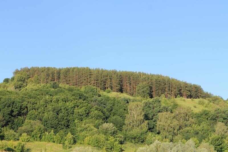 
Городище Цепель, фото: © Кочующие