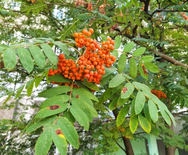    Фото: Екатерина Иванова