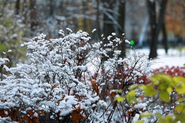    Снег Дарья Драй © ИА REGNUM