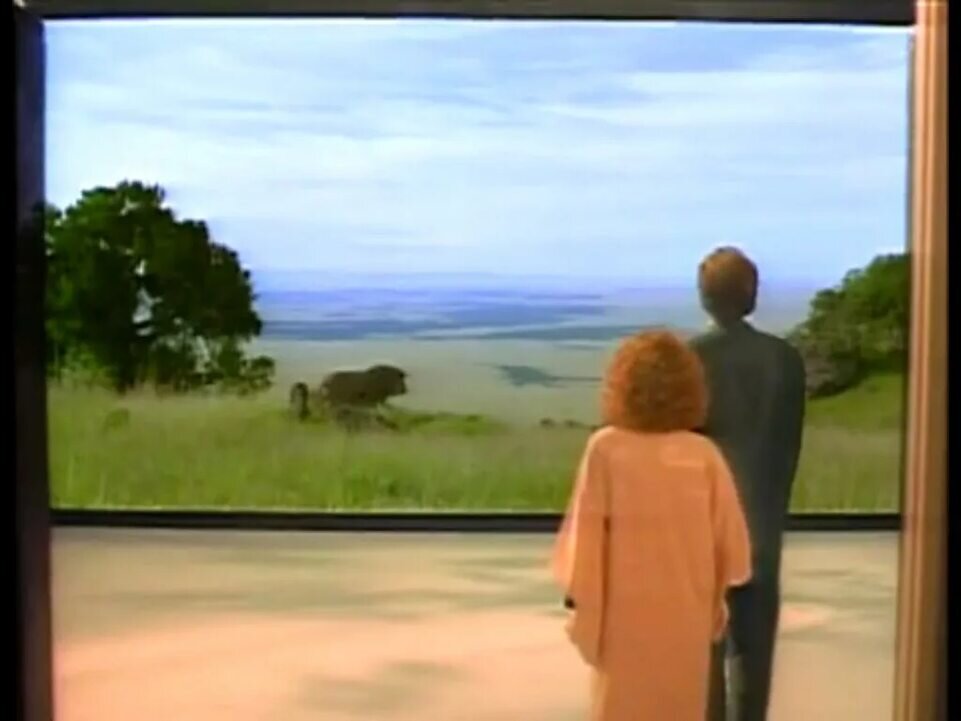 Родители вошли в детскую и увидели расскаленныц Африканский Вельд.