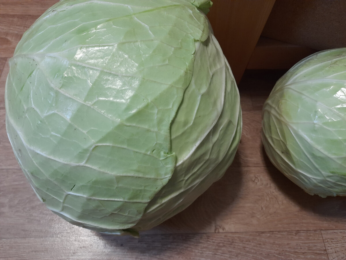 Зимняя капуста