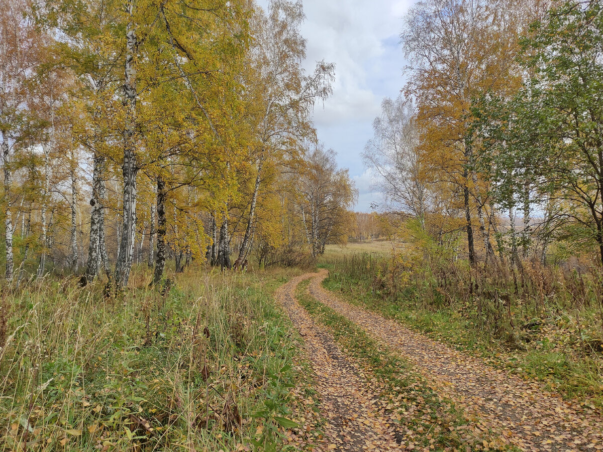 Дорожка в Горячинский лог