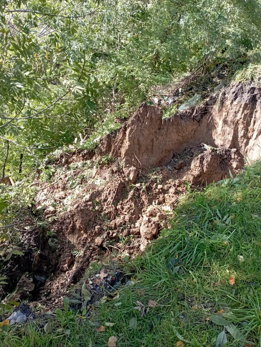 Брянские чиновники снова забили на проблему: в Супонево обрушившийся у домов  овраг присыпали строительным мусором | Брянский Ворчун | Дзен