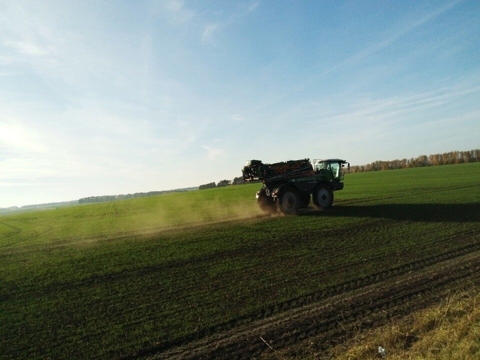     Фото: Сергей Силаев