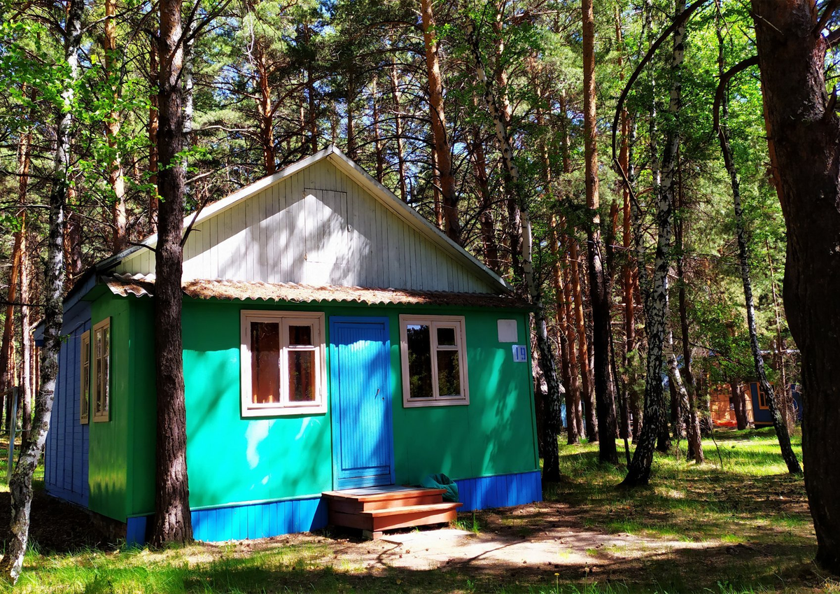 База отдыха сосновый бор фото