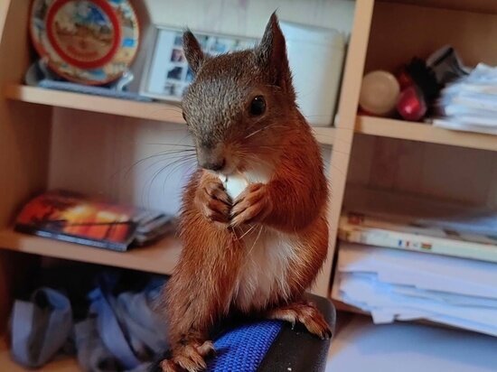     Фото: пресс-служба УВД по городу Сочи